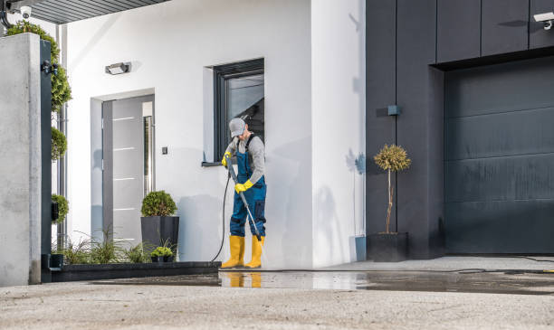 Best Driveway Cleaning and Restoration in Mammoth, AZ